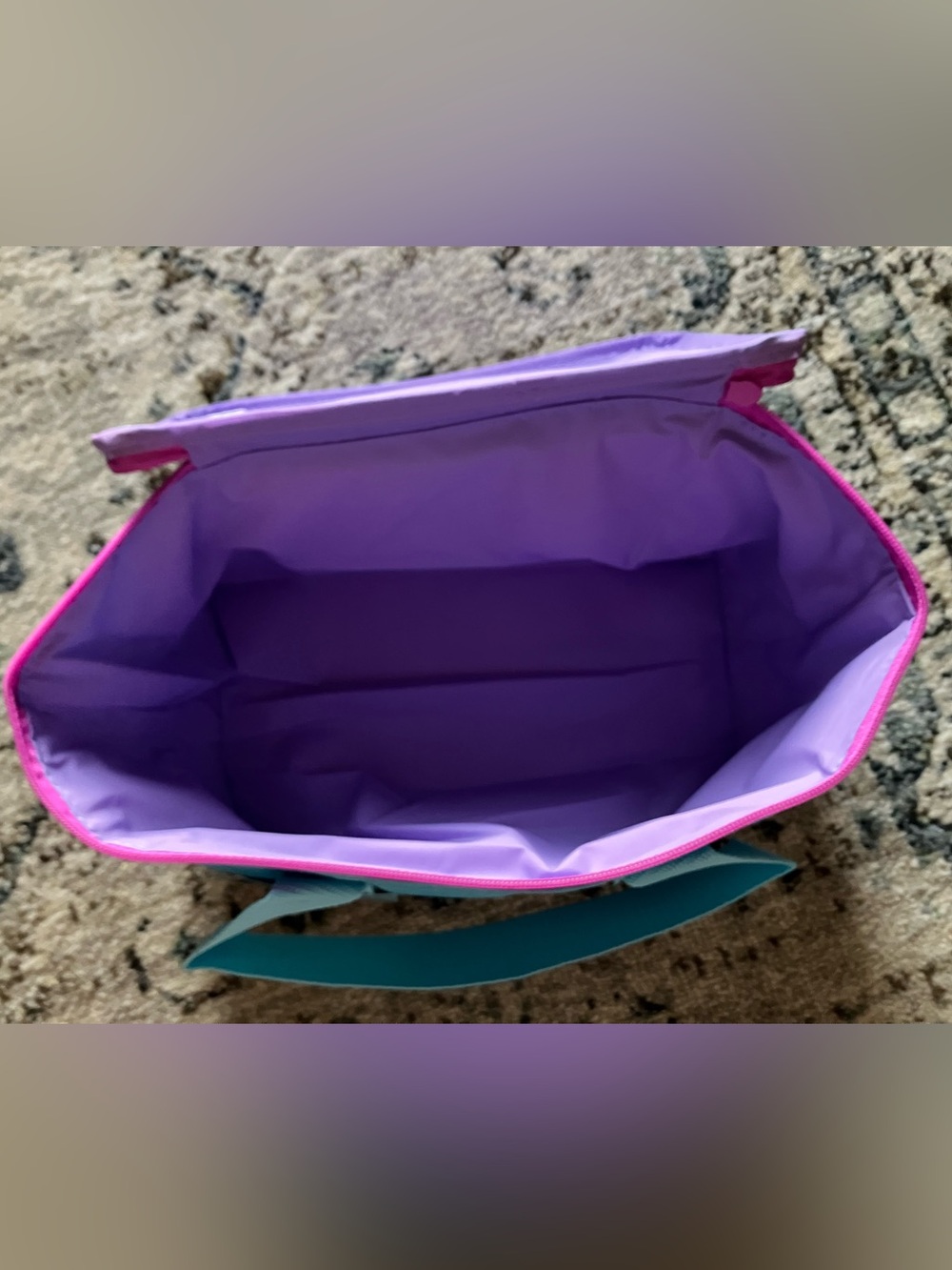 Trader Joe's Mini Insulated Bag - Picture 3 of 4